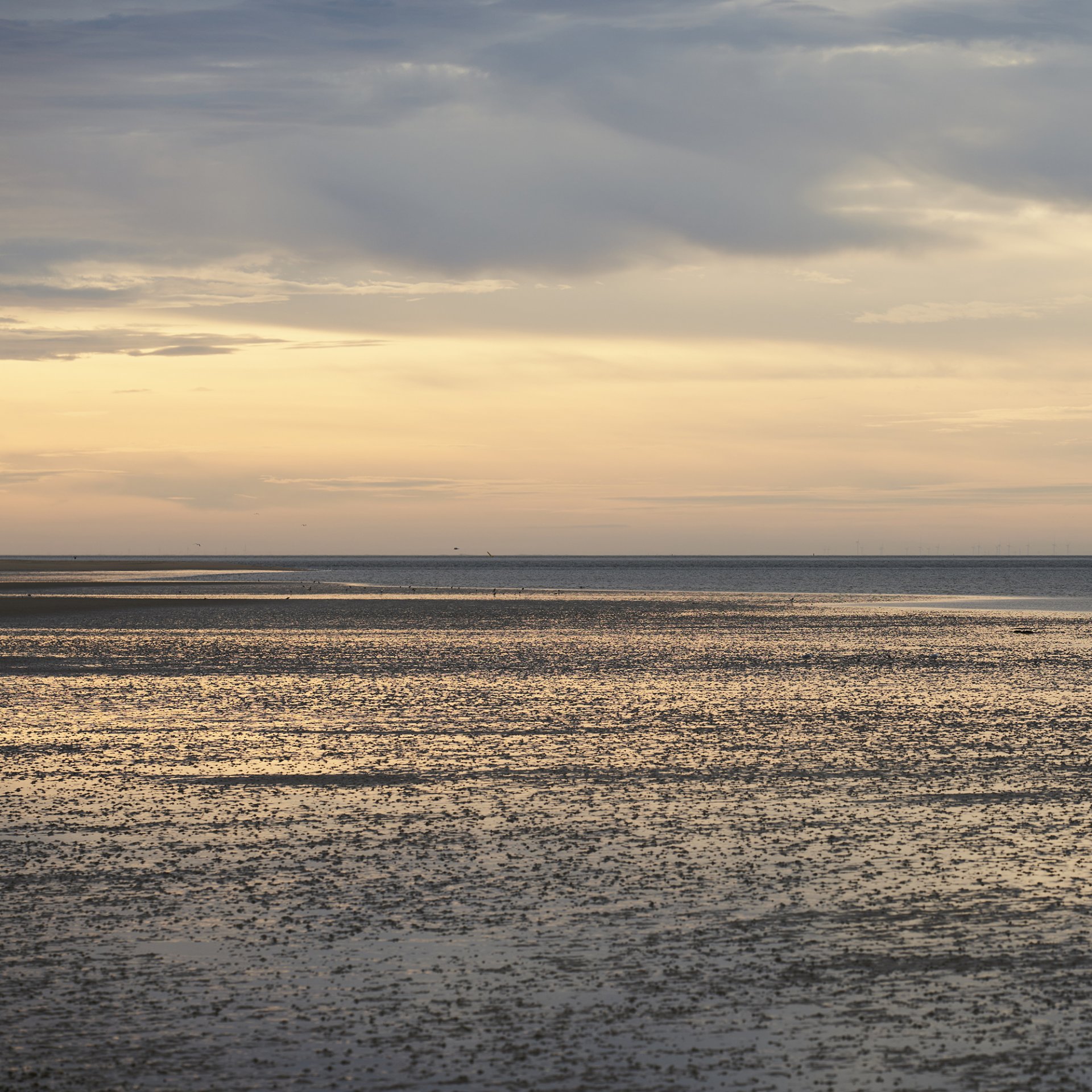 Blick auf das Nordfriesische Wattenmeer