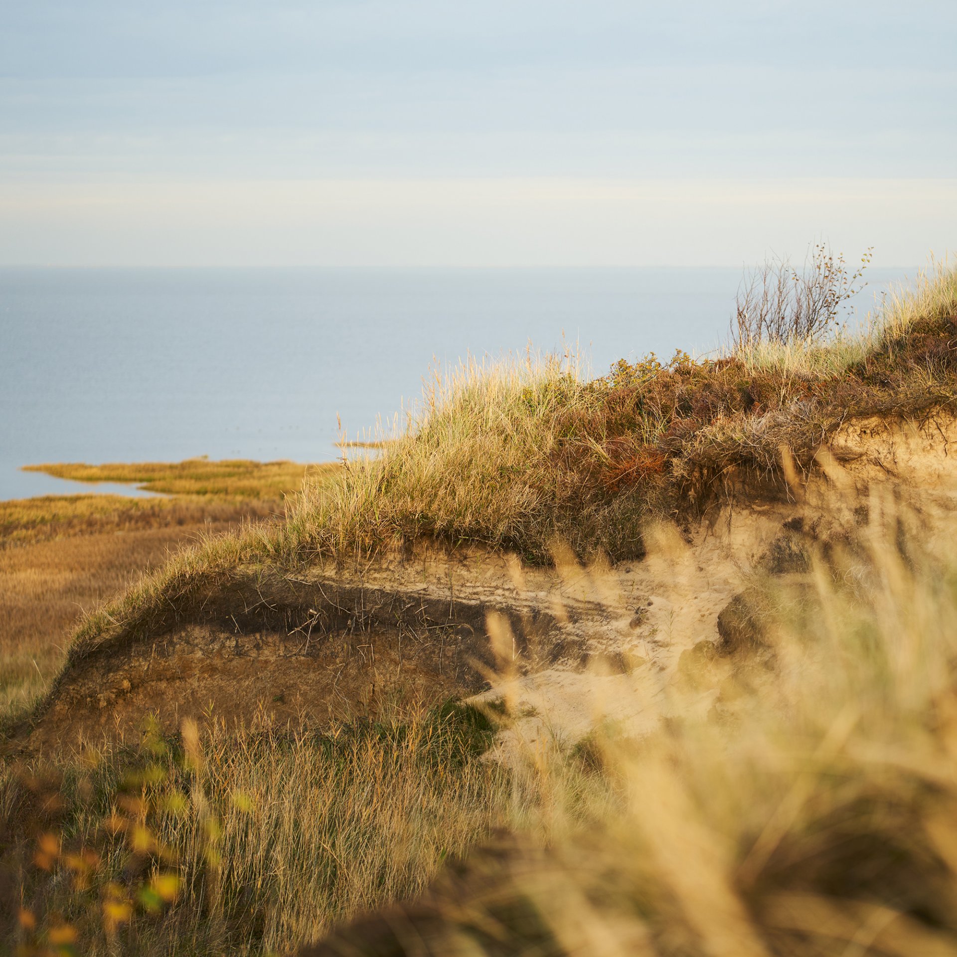 Das Morsum Kliff auf Sylt