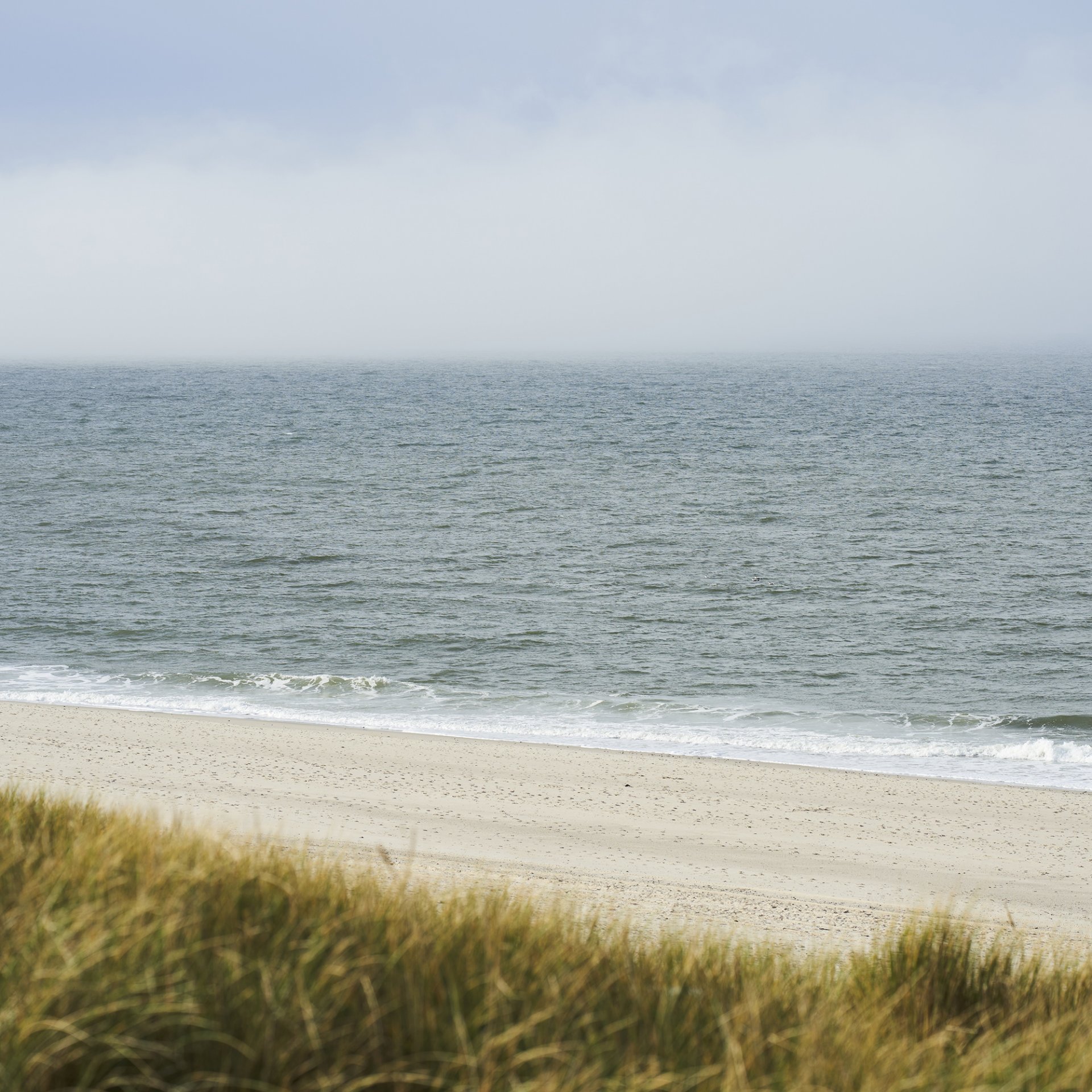 Blick auf die Nordsee mit Strand und bewachsener Düne