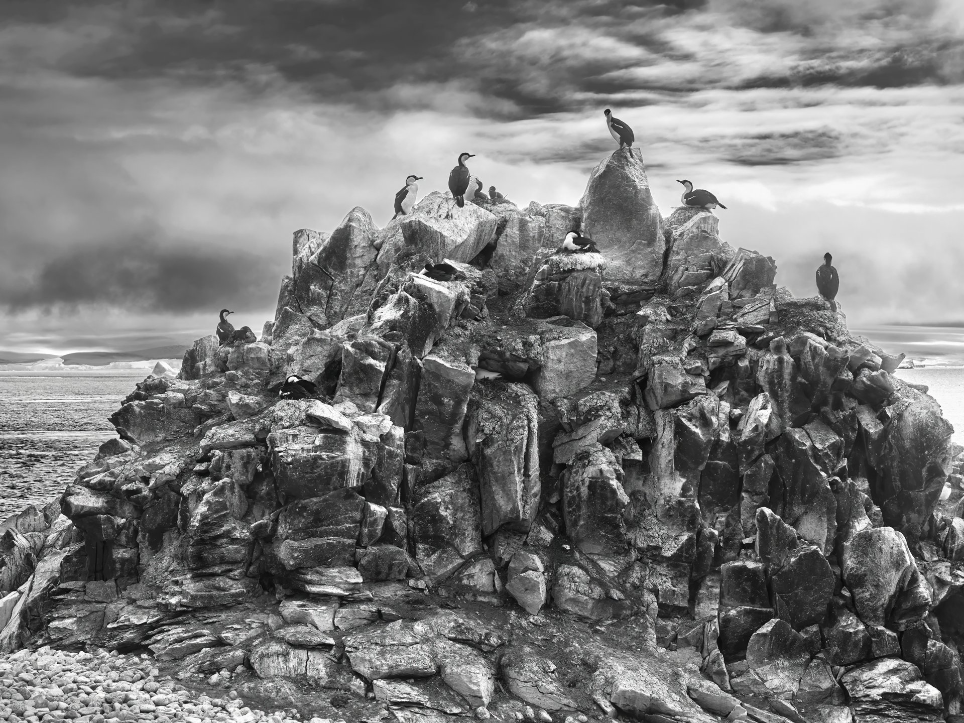 Kormorane auf einem Felsen vor Meer und dramatischem Himmel, Schwarz-Weiß Fotografie