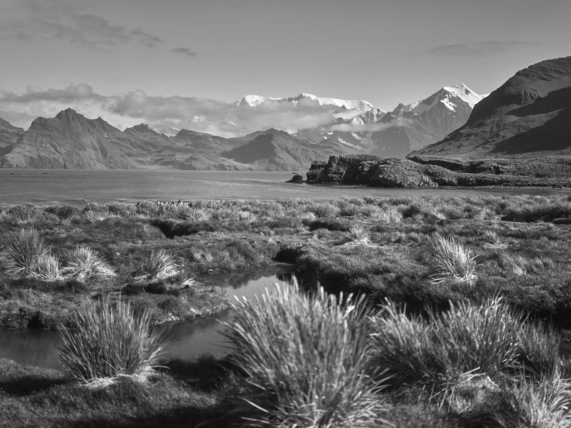 Gras- und Wasserlandschaft mit Bergkette am Horizont, Schwarz-Weiß Fotografie